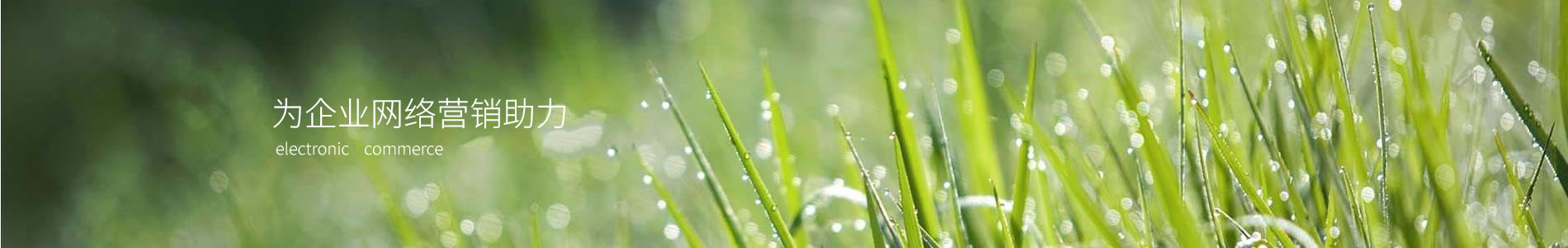 ֣˹ܿƼ޹˾